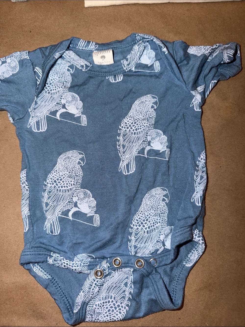 Kate Quinn, short sleeve newborn bodysuit, blue parrots